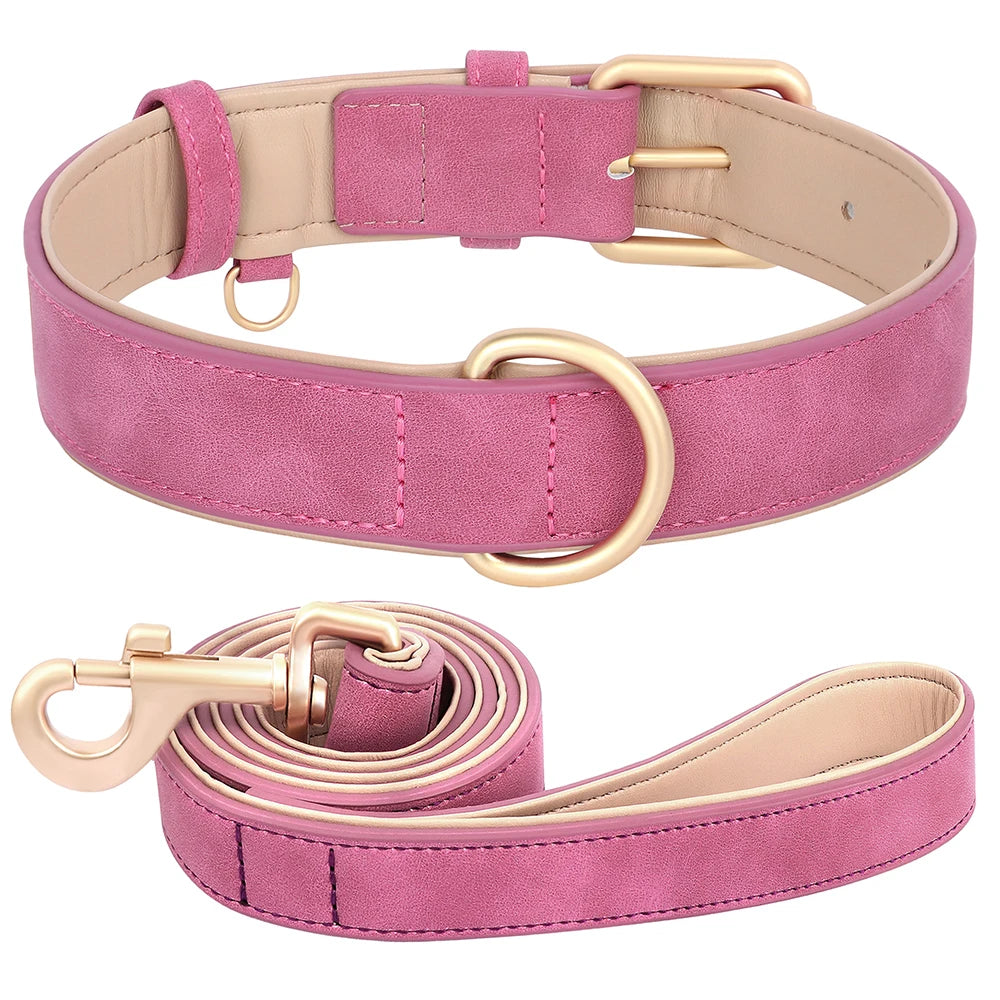 Soft Padded Dog Collar and Lead Set