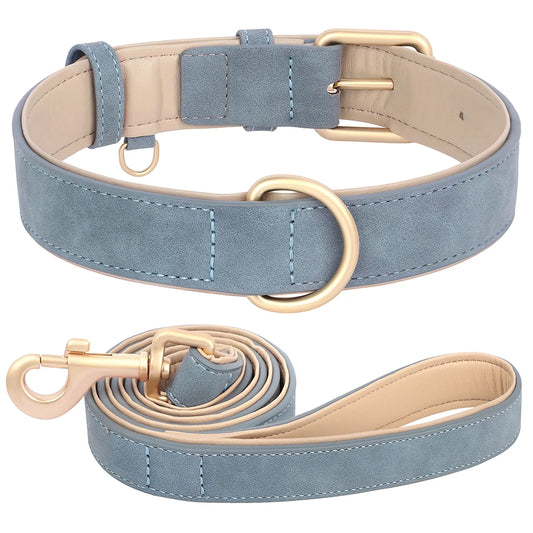 Soft Padded Dog Collar and Lead Set