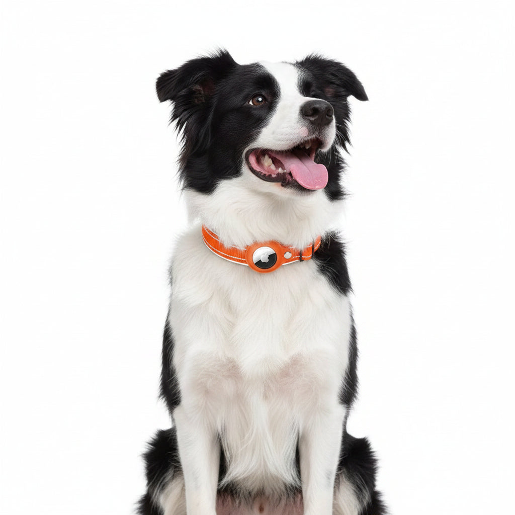 Apple Airtag Collar