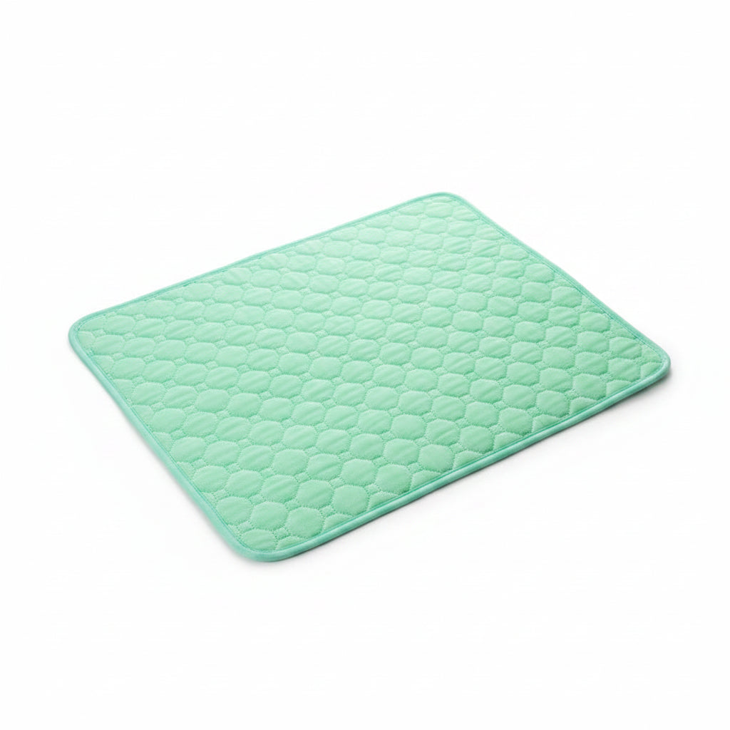 Washable Waterproof Pet Mat