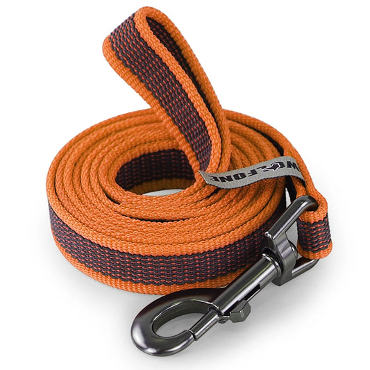 Long Line Dog Lead
