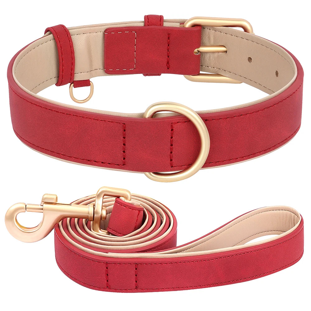 Soft Padded Dog Collar and Lead Set