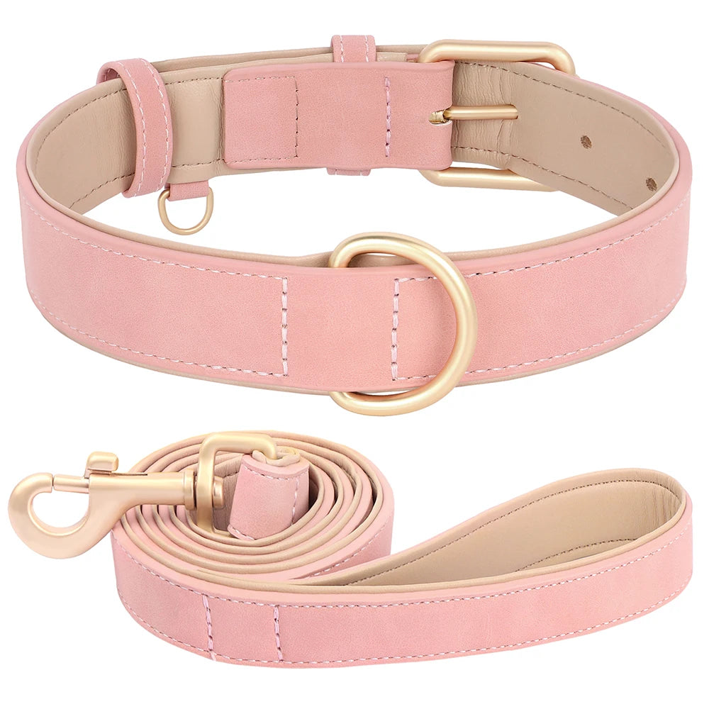 Soft Padded Dog Collar and Lead Set