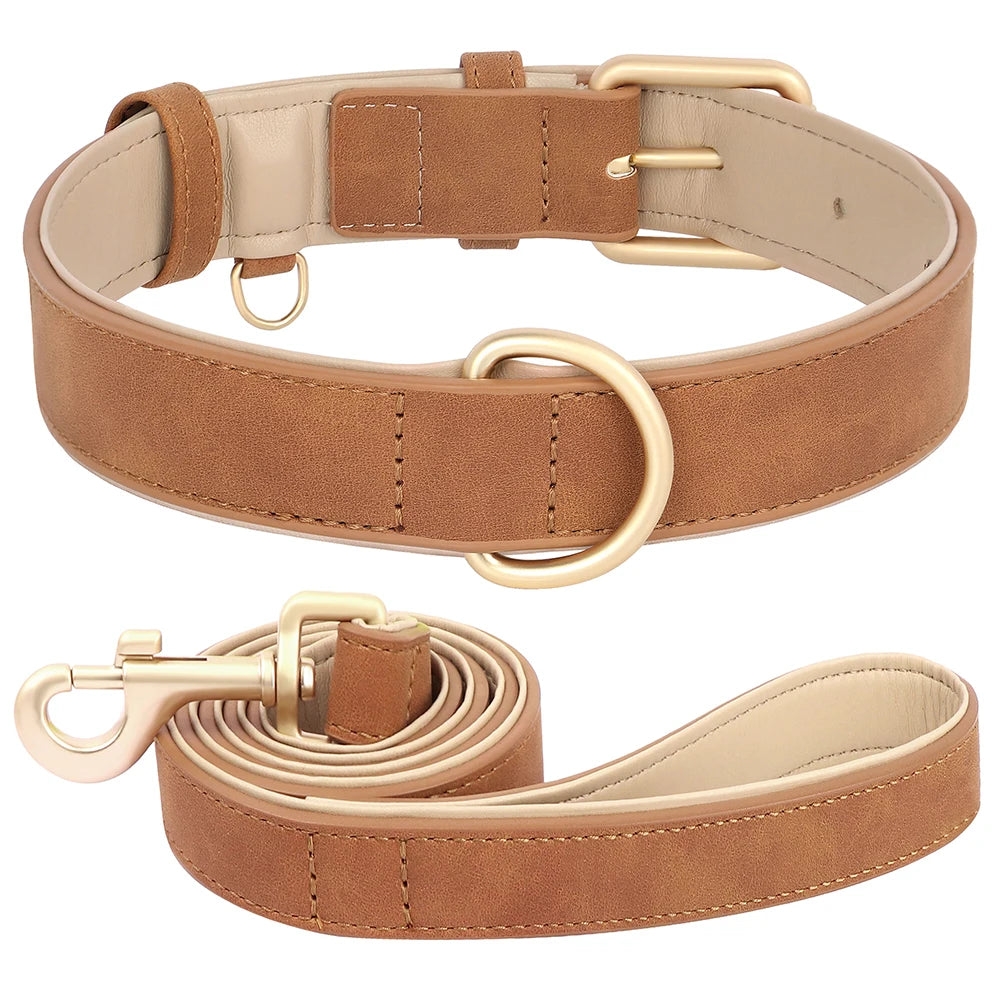 Soft Padded Dog Collar and Lead Set