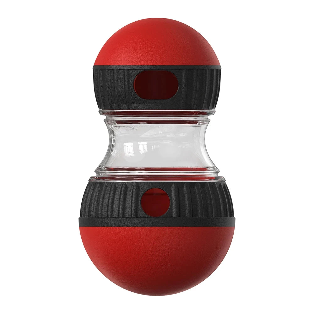 Interactive IQ Treat Ball