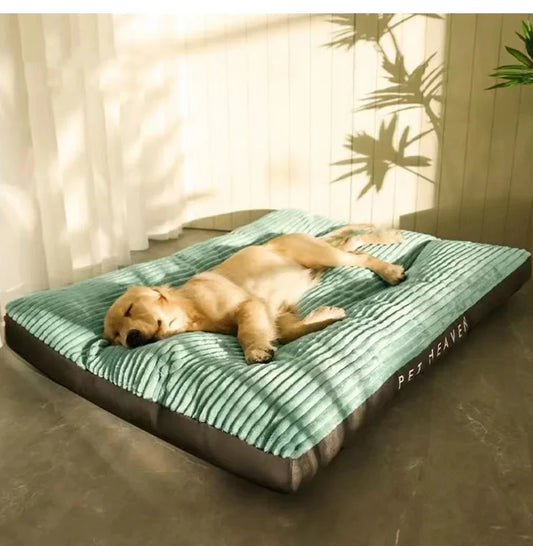 Corduroy Dog Bed