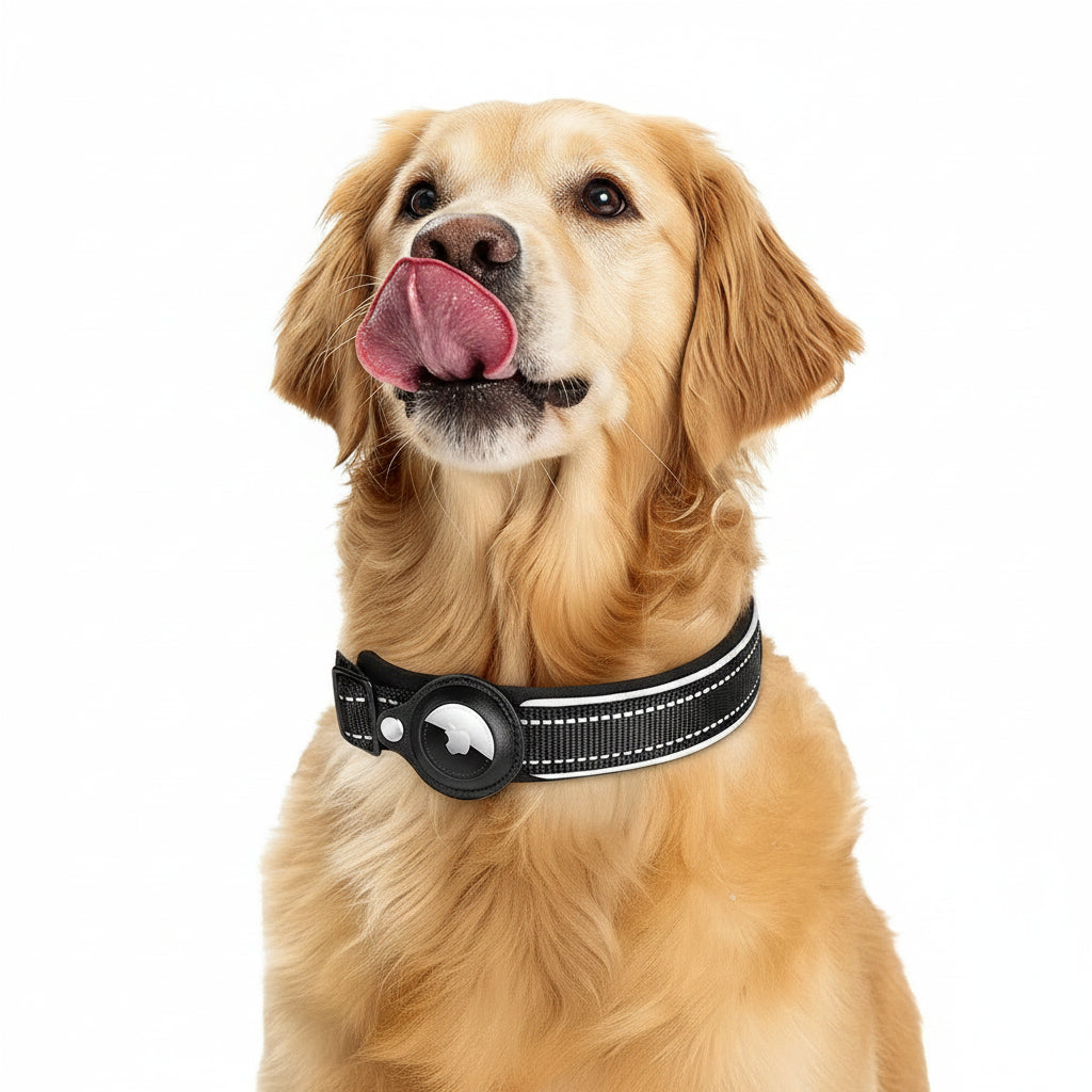 Apple Airtag Collar