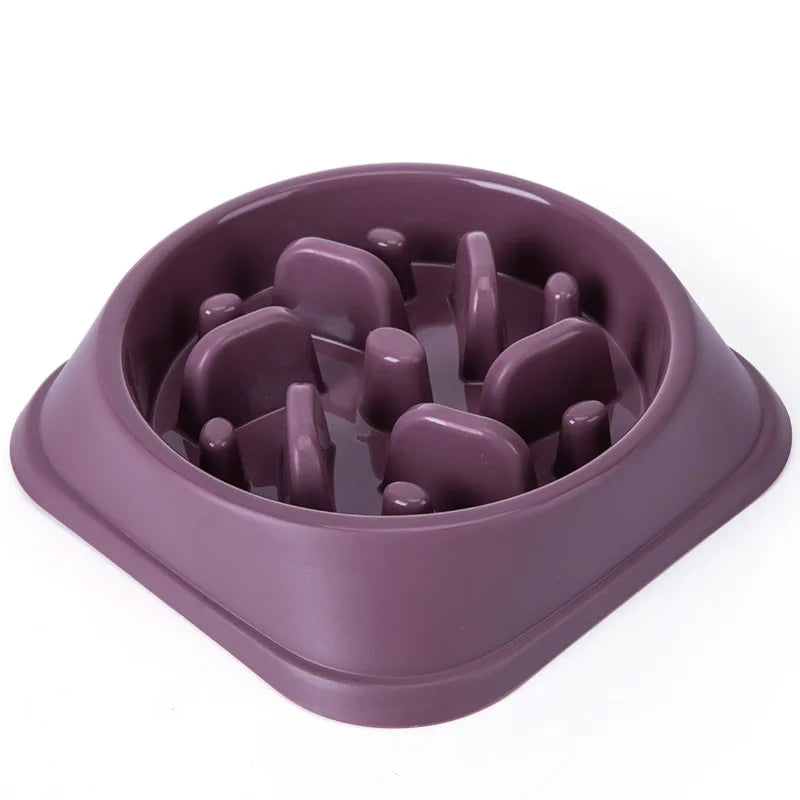 Original Slow Feeder