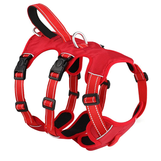 3 Point Harness