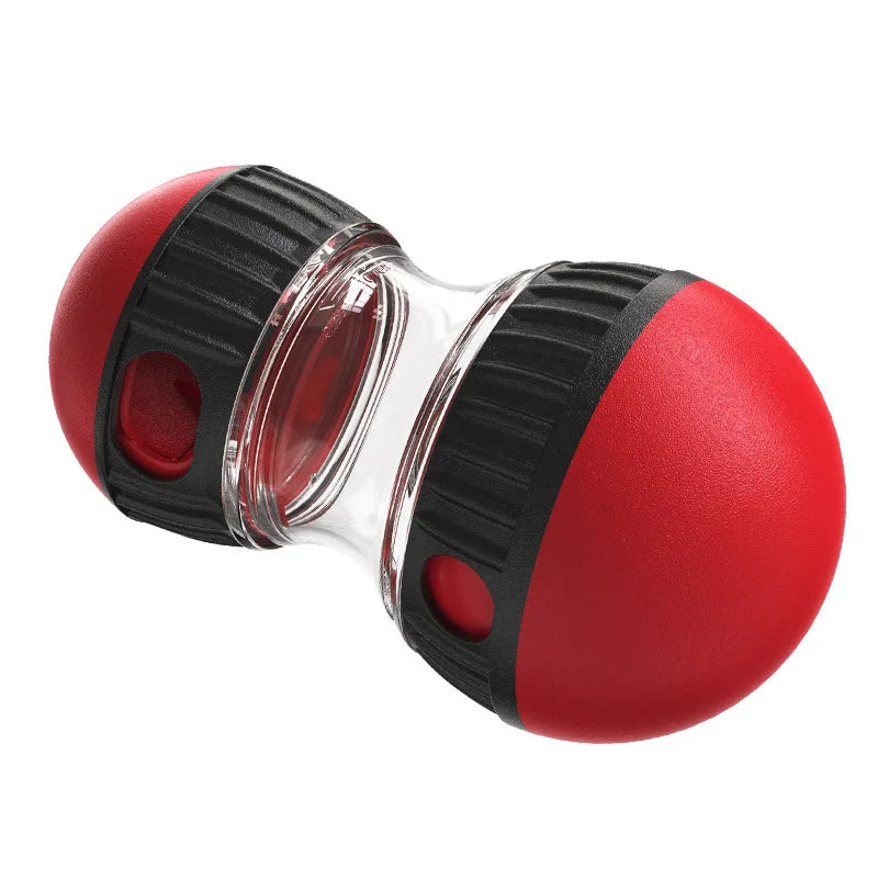 Interactive IQ Treat Ball