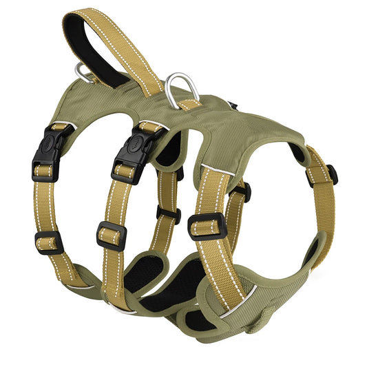 3 Point Harness