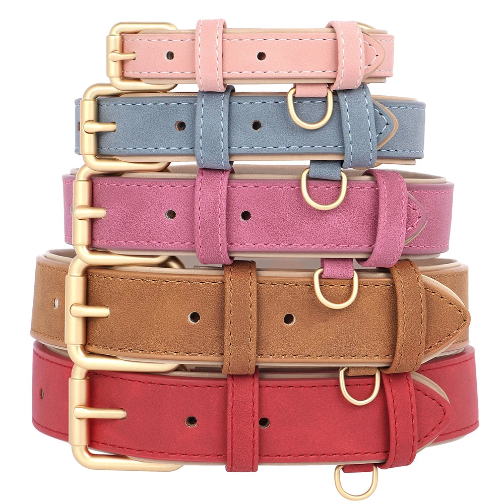 Soft Padded Dog Collar and Lead Set