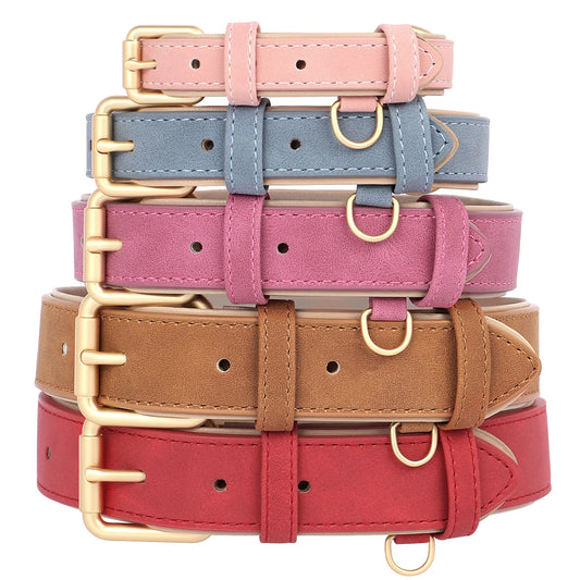 Soft Padded Dog Collar and Lead Set