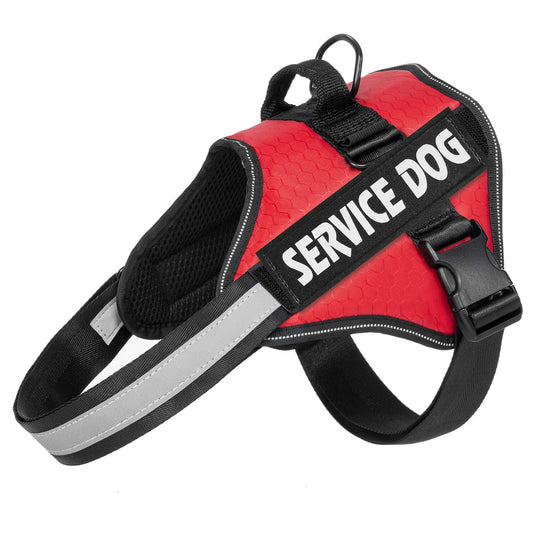 Vest Harness