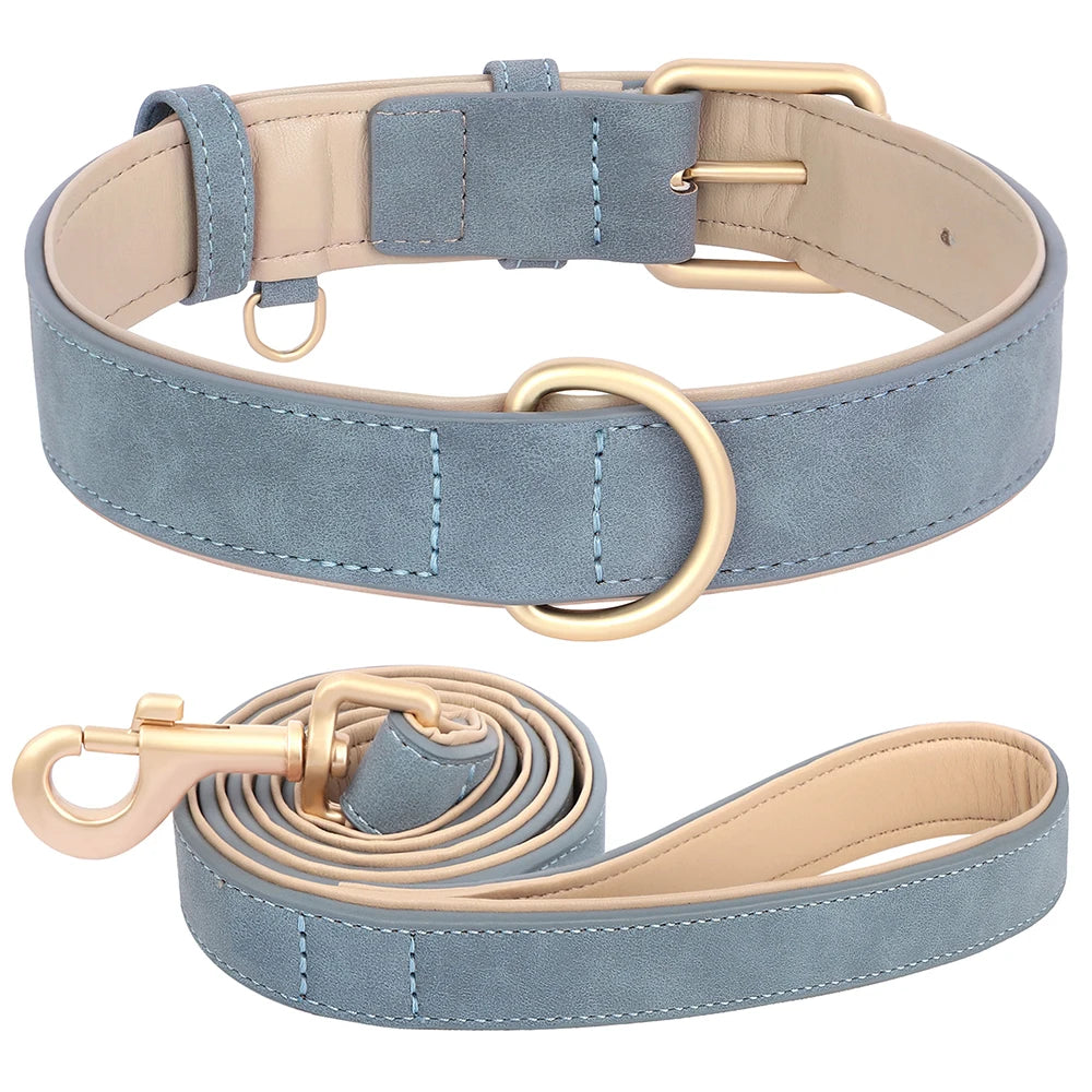 Soft Padded Dog Collar and Lead Set